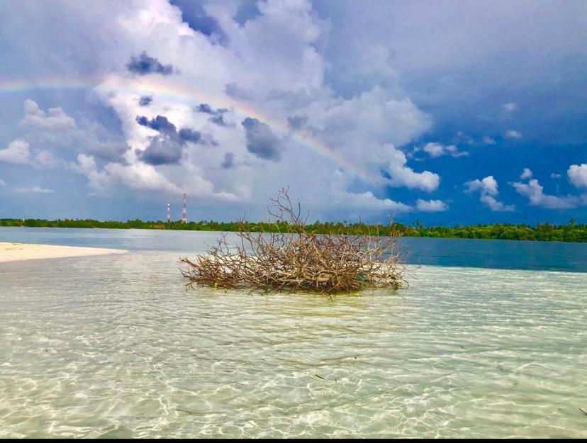Sunview Residence Kaashidhoo エクステリア 写真