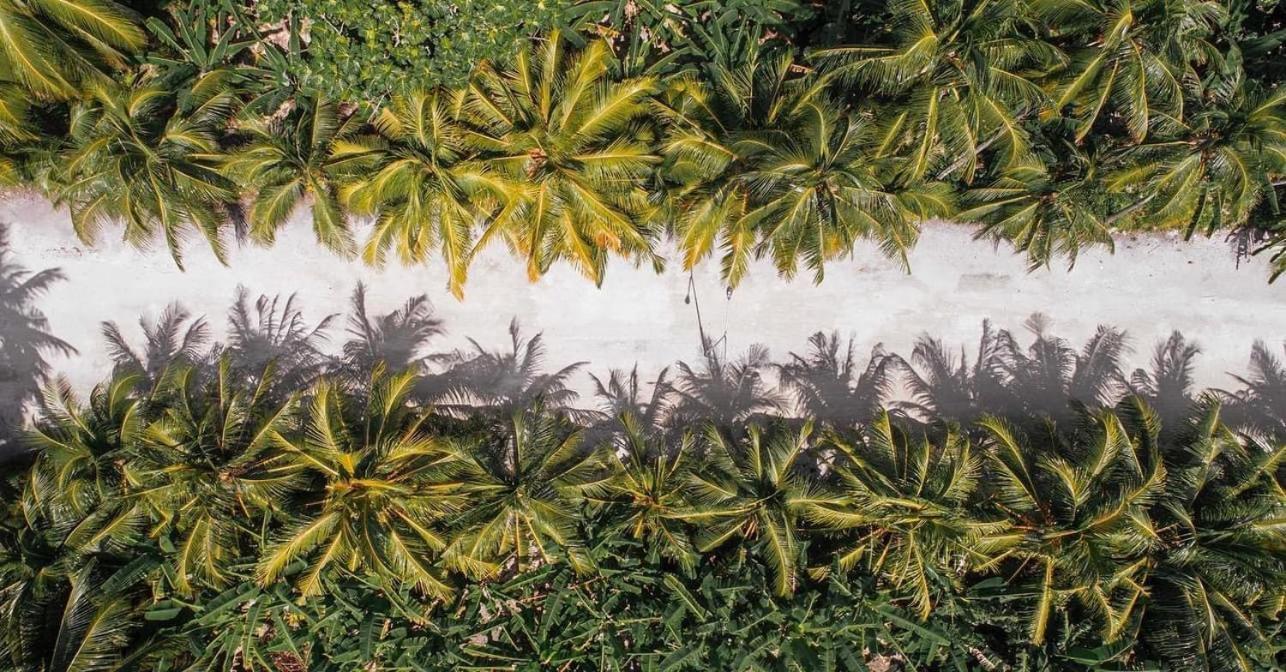 Sunview Residence Kaashidhoo エクステリア 写真
